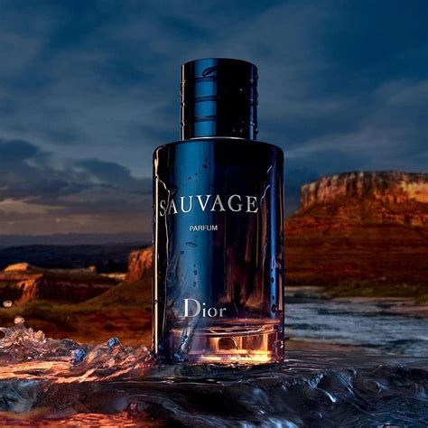 dior sauvage 60ml best price